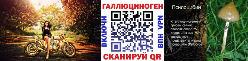 Псилоцибиновые грибы мицелий  Серафимович 