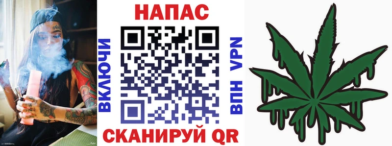 Канабис семена  купить наркоту  Серафимович 